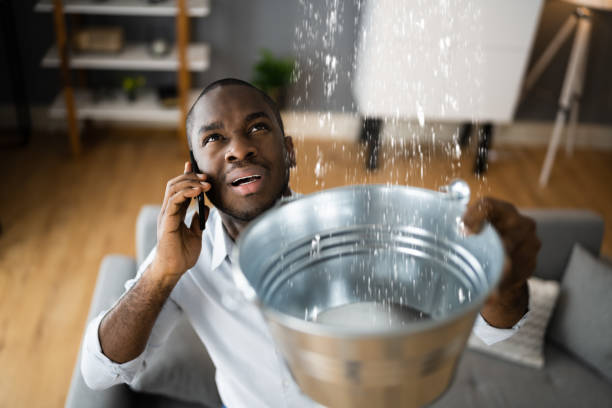 Best Flooded house restoration  in Pembroke Pines, FL