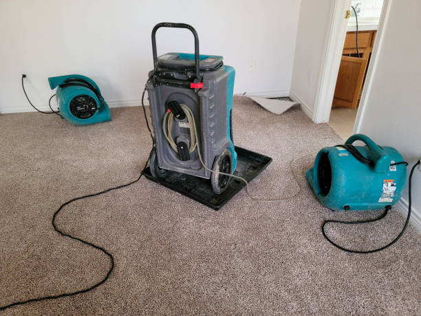 Best Professional water damage repair  in Pembroke Pines, FL