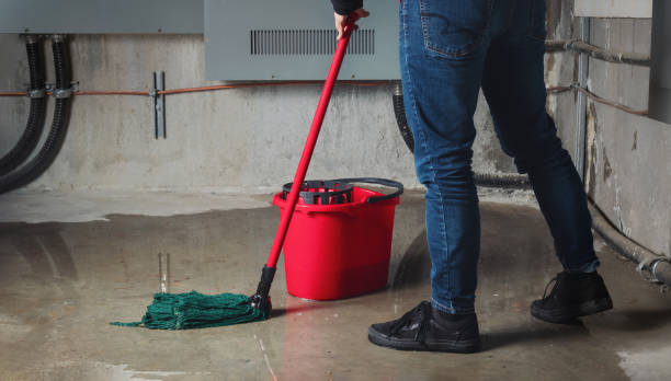 Best 24/7 water damage repair  in Pembroke Pines, FL