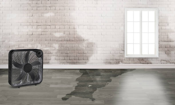 Best Emergency water damage restoration  in Pembroke Pines, FL