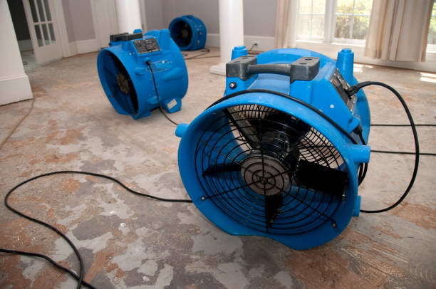 Best Water damage restoration insurance claims  in Pembroke Pines, FL