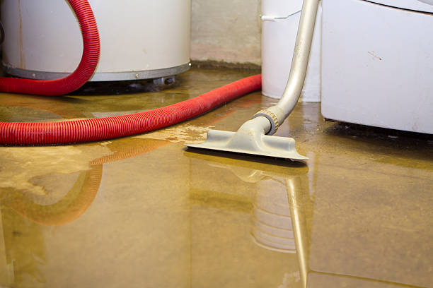 Best Flood damage cleanup  in Pembroke Pines, FL