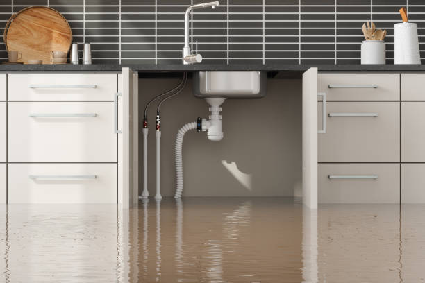 Best Emergency water damage restoration  in Pembroke Pines, FL