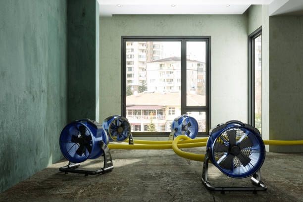 Best Sewage cleanup and water damage restoration  in Pembroke Pines, FL